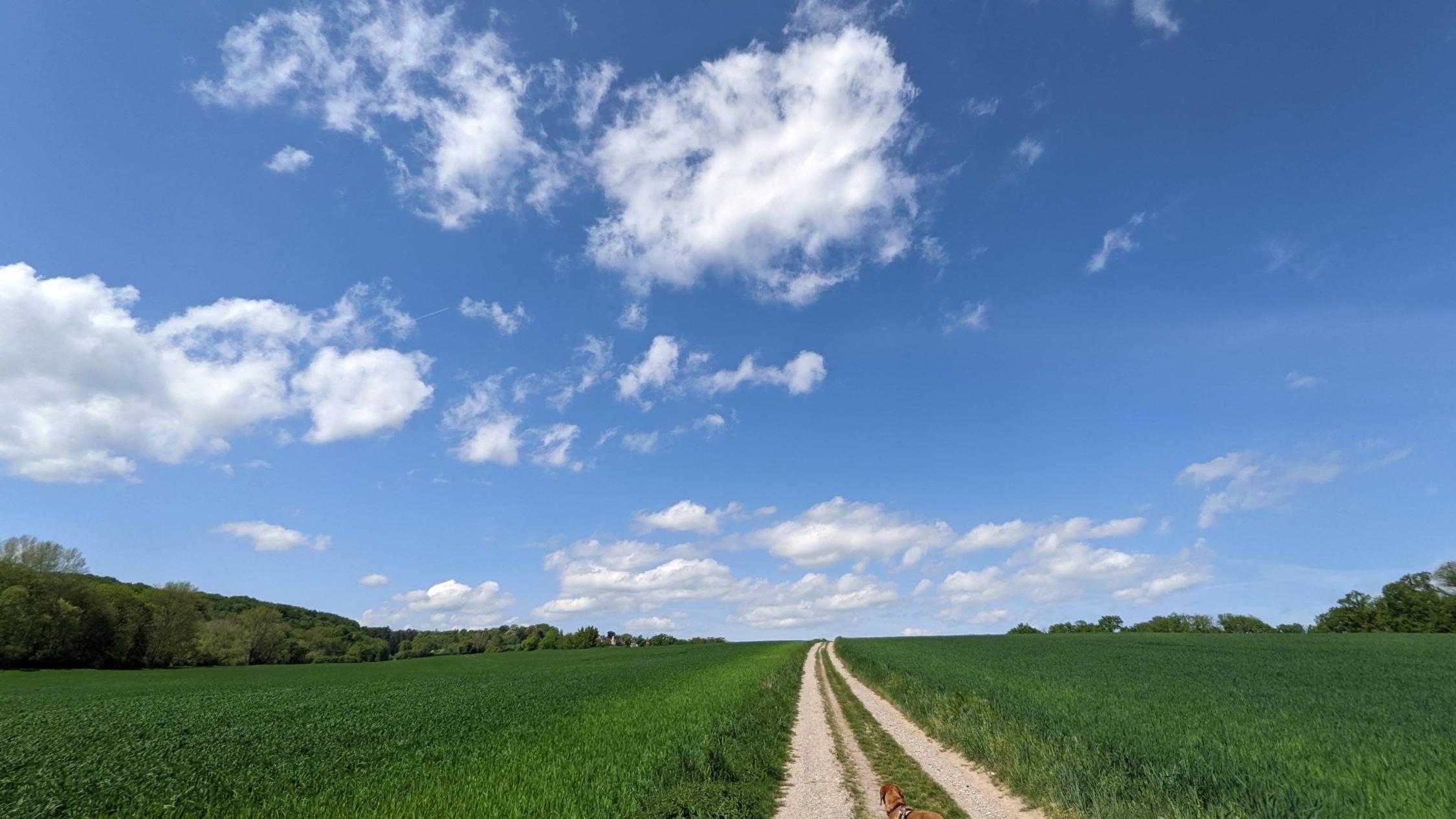 Weg Gemeinde aktiv Zukunftwerkstatt