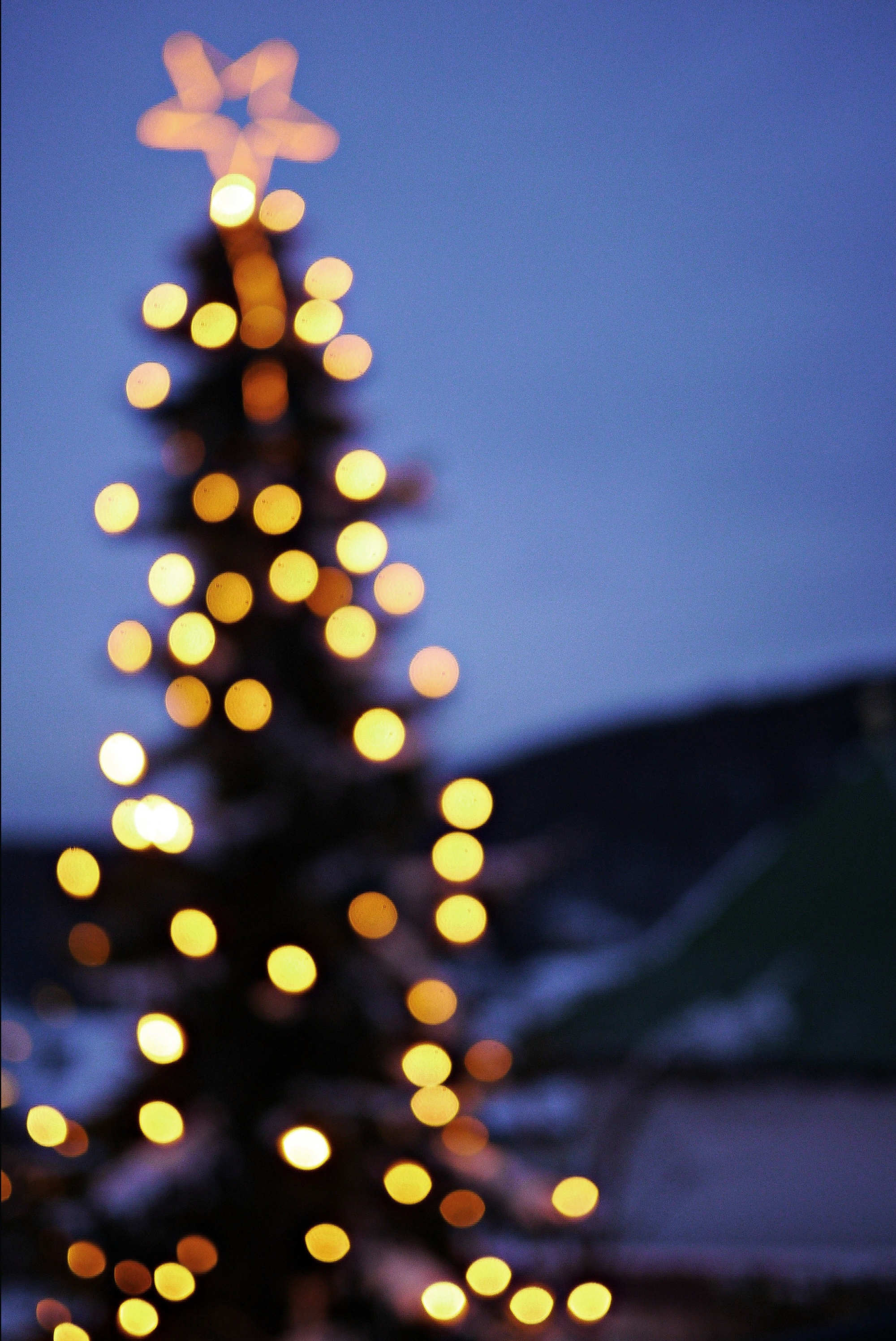 Christbaum