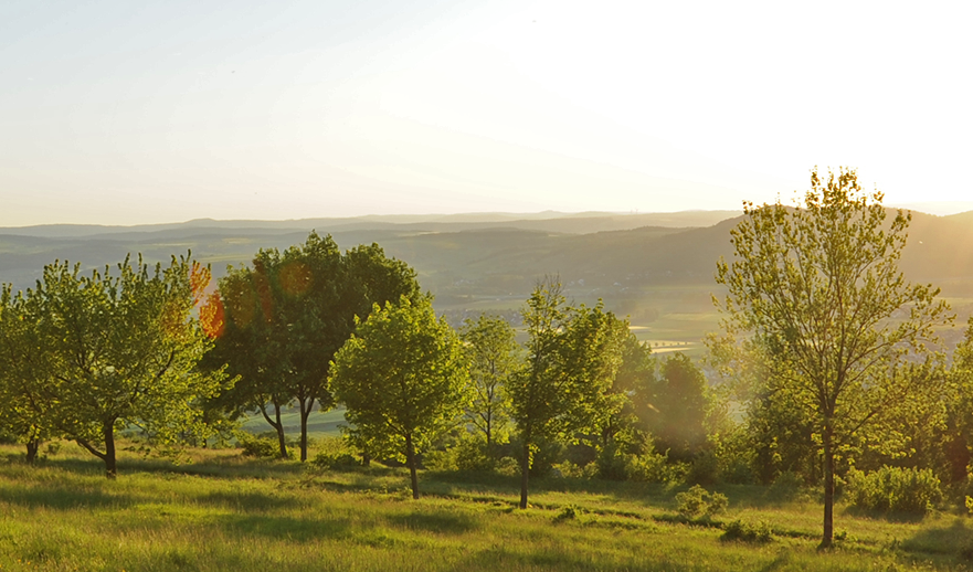 Abendsonne am Staffelberg