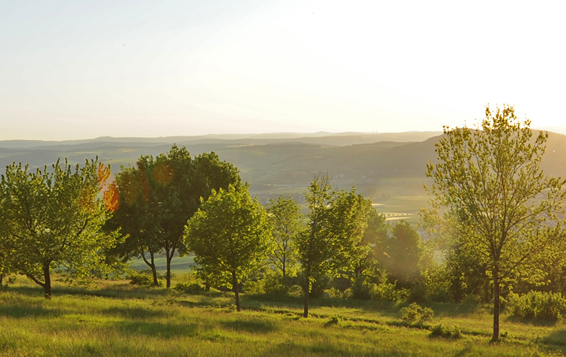 Abendsonne am Staffelberg