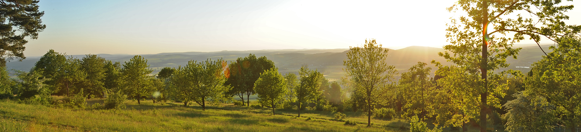 Abendsonne am Staffelberg