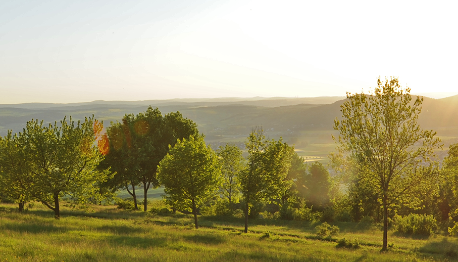 Abendsonne am Staffelberg