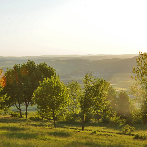 Abendsonne am Staffelberg
