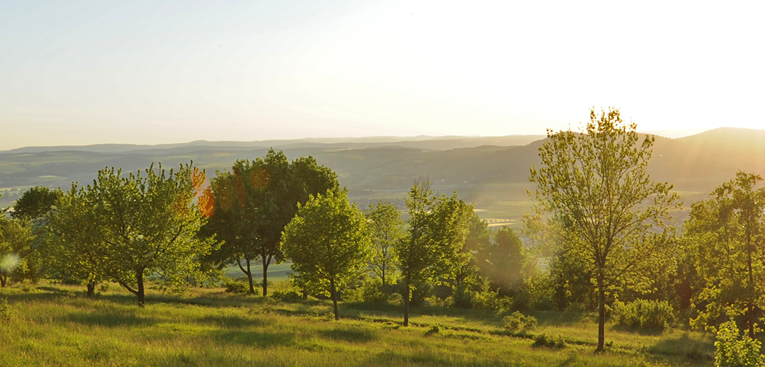 Abendsonne am Staffelberg
