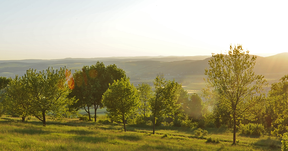 Abendsonne am Staffelberg