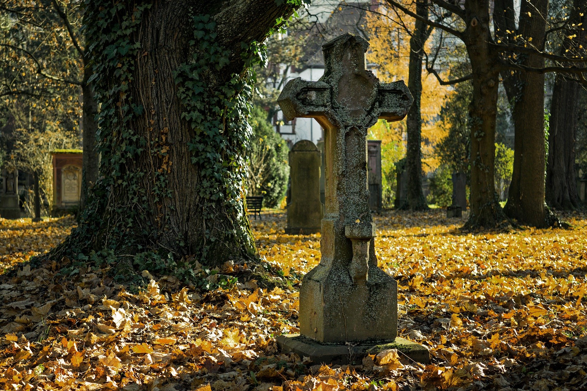 Friedhof im Herbst