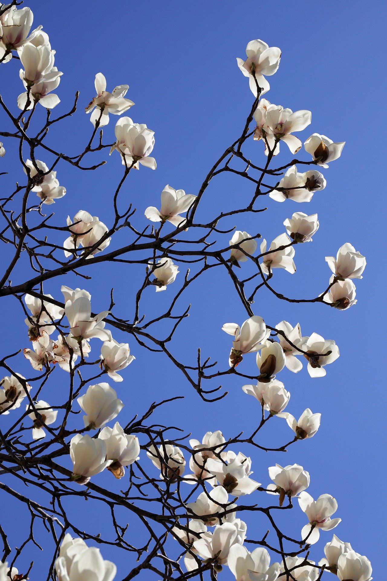 Frühling