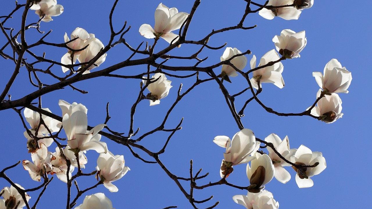 Frühling