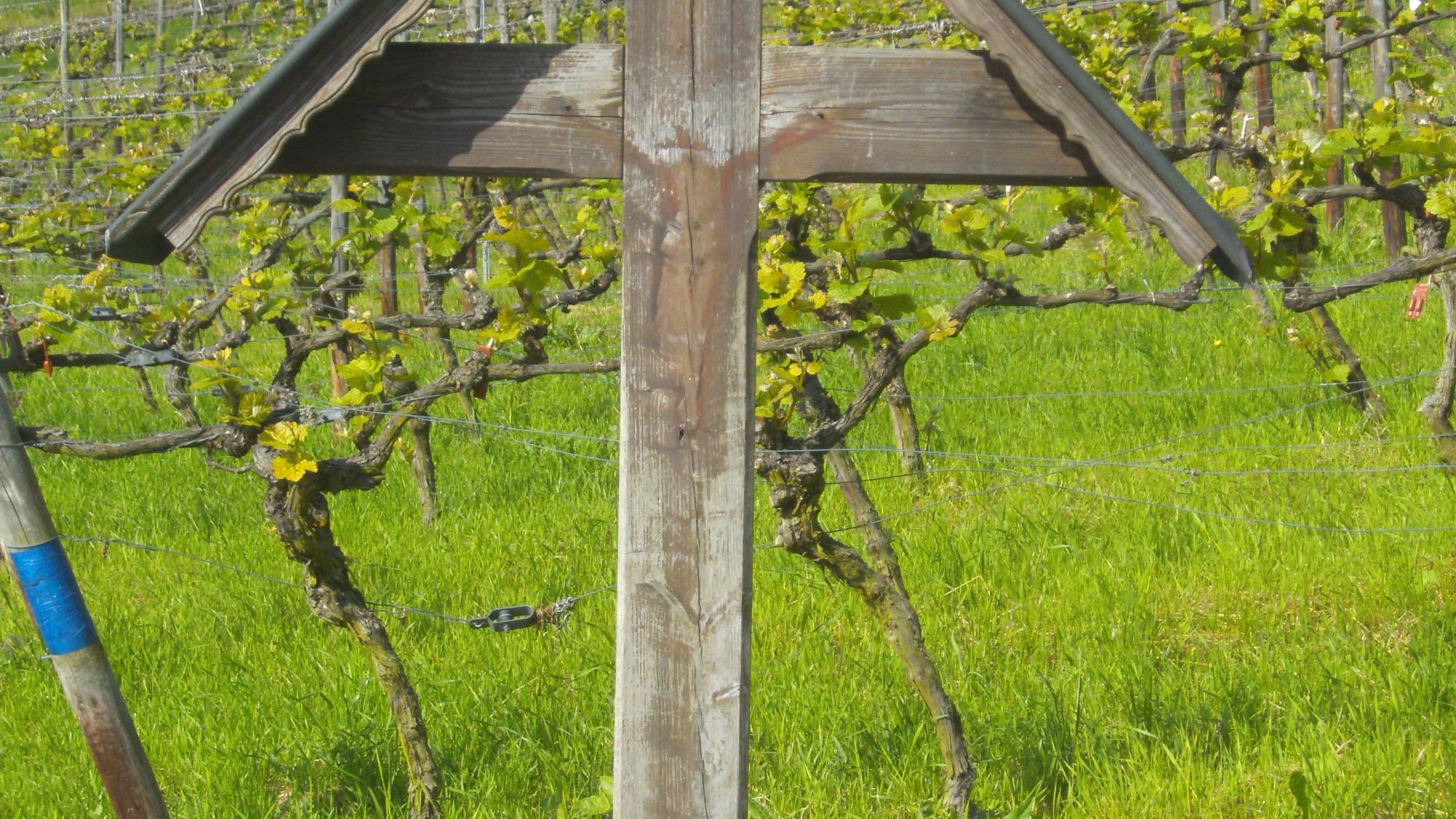 Kreuz Weinberg