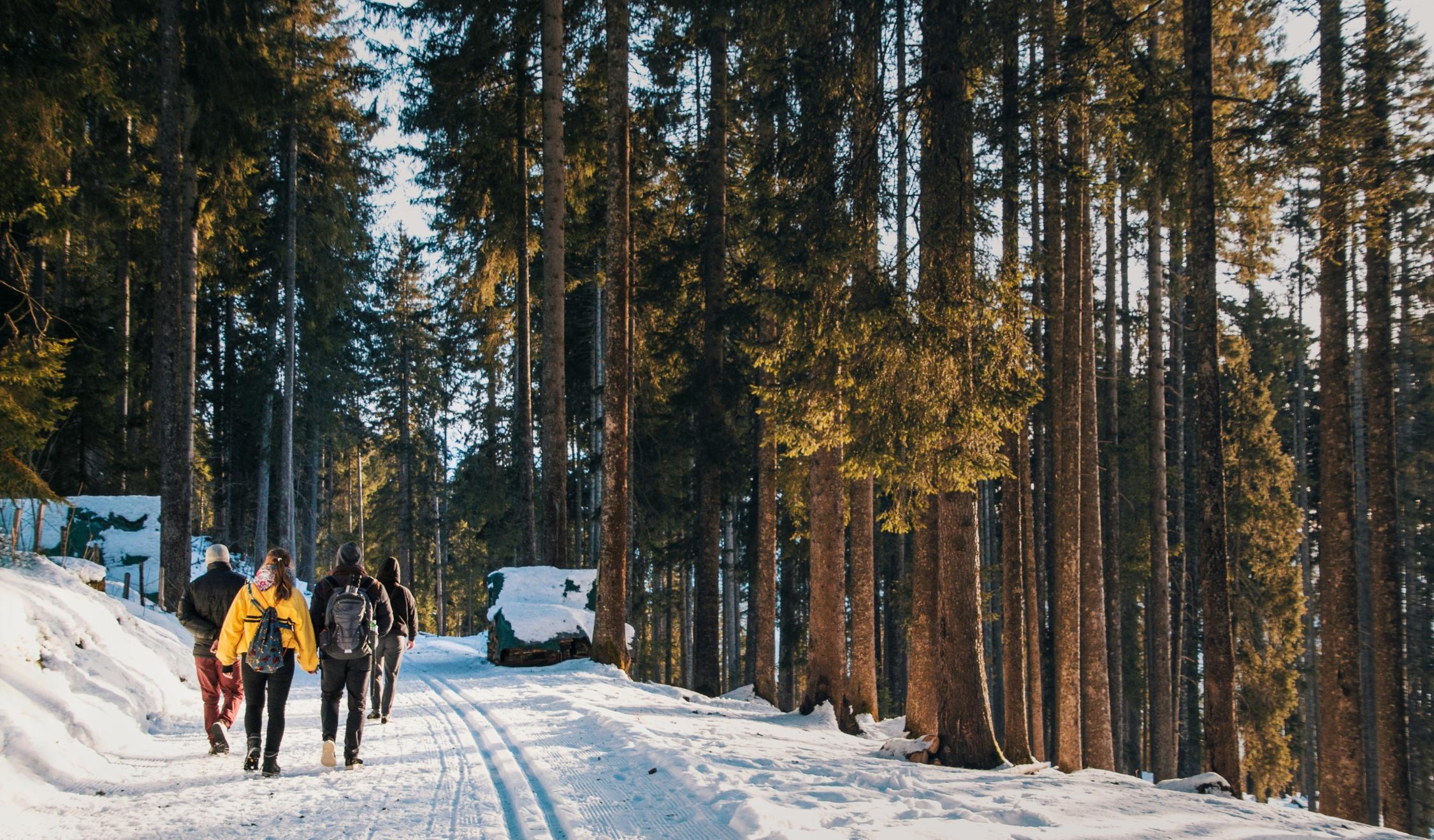 Winterwanderung